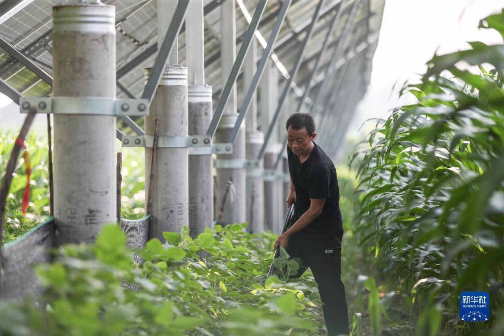 全部提现游戏